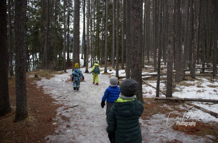 On a hike in Banff with Kids Who Explore hiking group