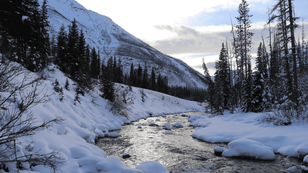 marble-canyon-hike