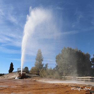 soda-spring-geyser