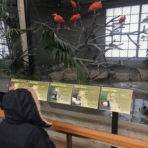 tracy-aviary-2