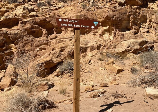 utah-little-wild-horse-canyon