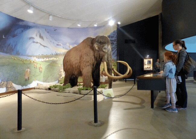 Step back in time at the La Brea Tar Pits in Los Angeles, where prehistoric mysteries come to life. Explore the active excavation site, where ancient fossils of mammoths, saber-toothed cats, and dire wolves are unearthed from the asphaltic deposits, offering a fascinating glimpse into the Ice Age and the natural history of Southern California.