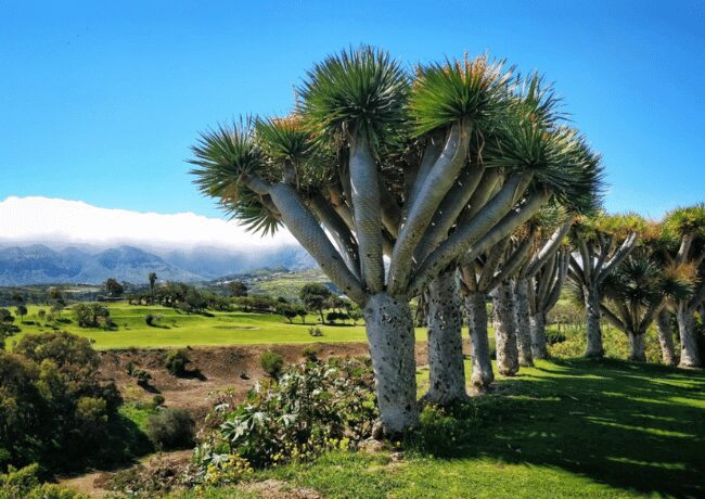 Breath taking landscapes at Gran Canaria Spain. 