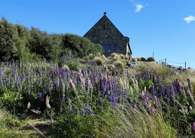 Enjoying fresh air in Mount Cook National park during our road trip to South Island.