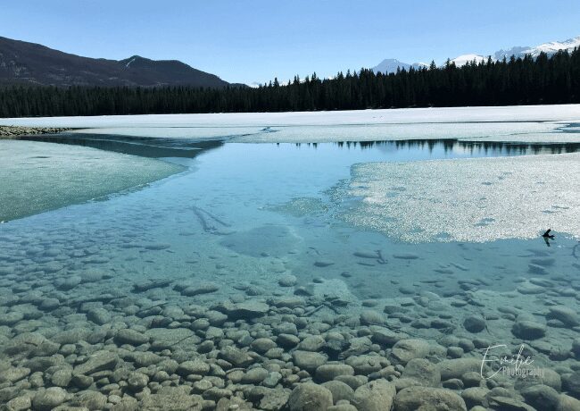 annette lake in jasper national park