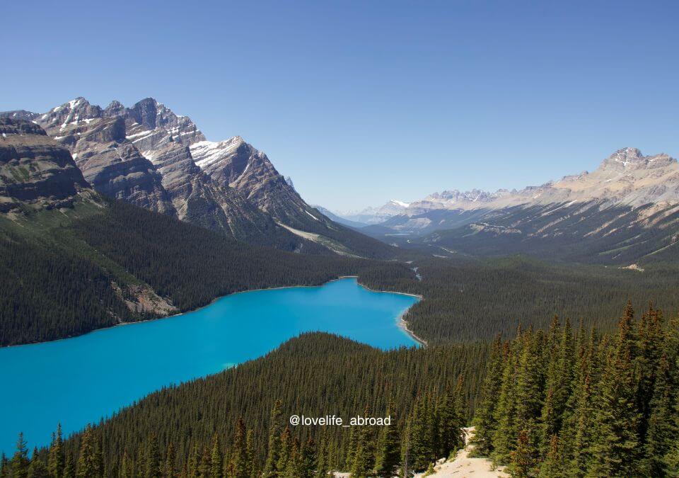 Peyto Lake in Banff National Park 