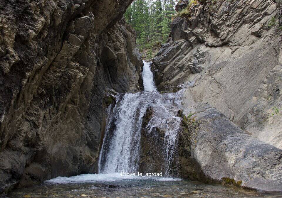 Whitegoat Falls near Nordegg