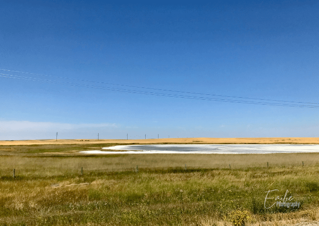 Discover the serene beauty of Chaplin Lake, a captivating oasis in the Saskatchewan prairies, where shimmering waters and expansive skies merge, offering a tranquil escape and a haven for wildlife enthusiasts and nature lovers alike.