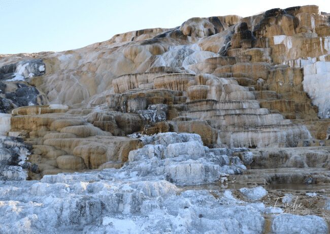 Mammoth Hot Spring is an incredible spot to check out these fantastic terraces of mineral-rich hot water flowing down the colorful landscape. 