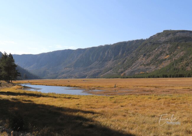 Expansive Yellowstone Valley, a breathtaking landscape of vibrant colors and pristine wilderness.