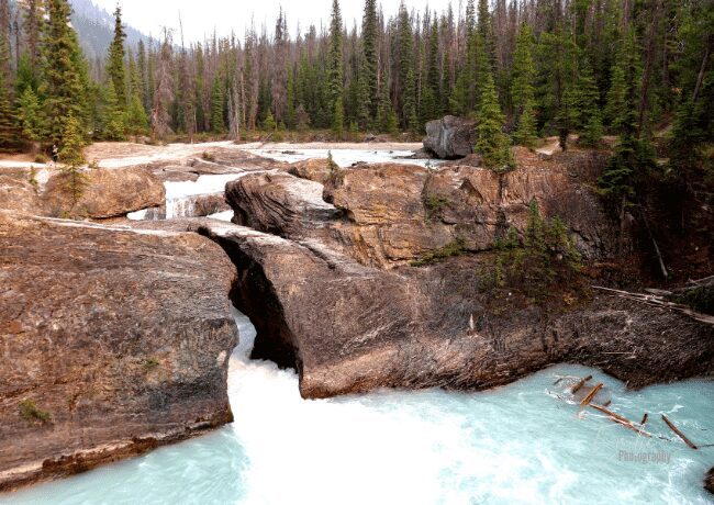 national-bridge-yoho-national-park