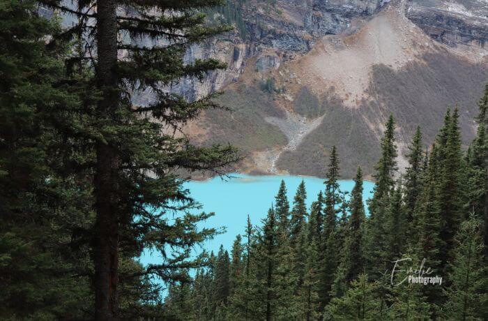 view of Lake Louise from the Lake Agnes trail