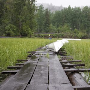 columbia-wetlands-docks-trail (1)