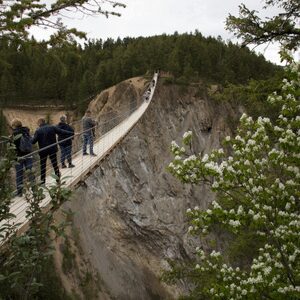 golden-skybridge-view-canyon (1)