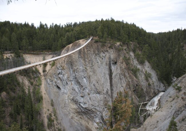 golden-bc-suspension-bridge-canyon (1)