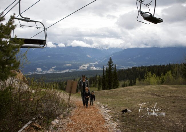 grizzly-refuge-golden-bc (1)