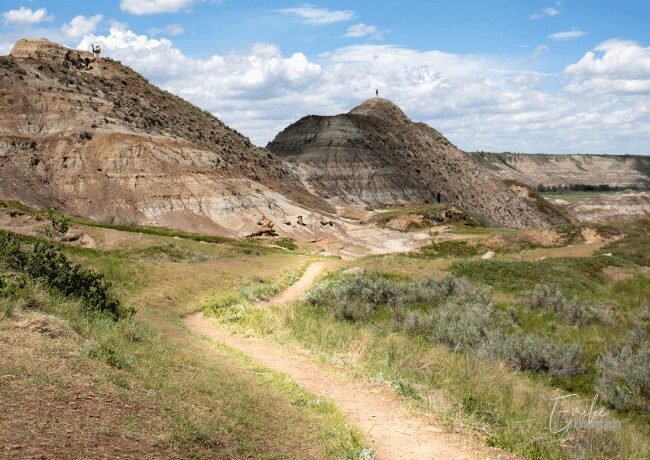 horse-thief-canyon-trail (1)