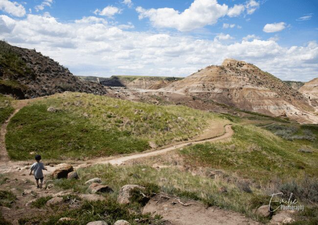 Promenade au Horsethief Canyon sur la Dinosaur Trail