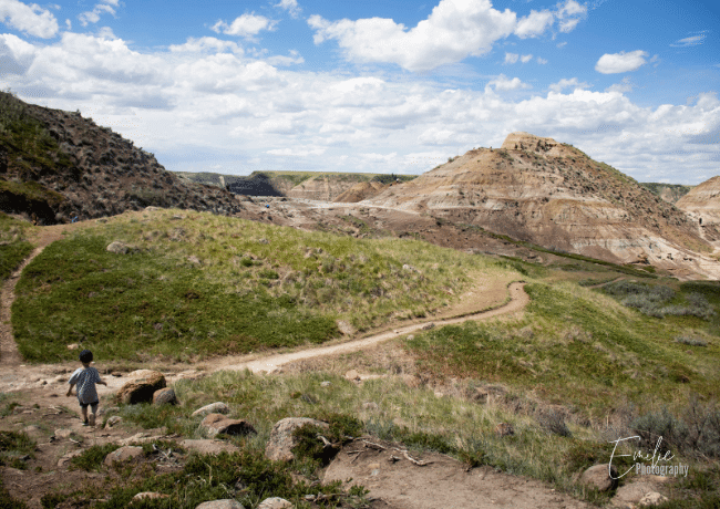 horse-thief-canyon-trail-2