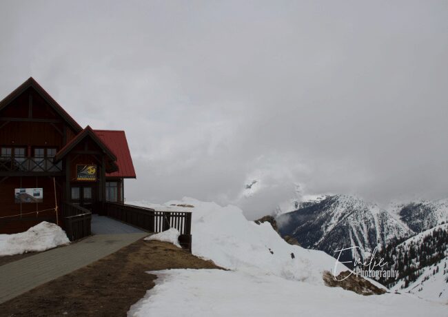 top-kicking-horse-gondola-golden-bc (1)