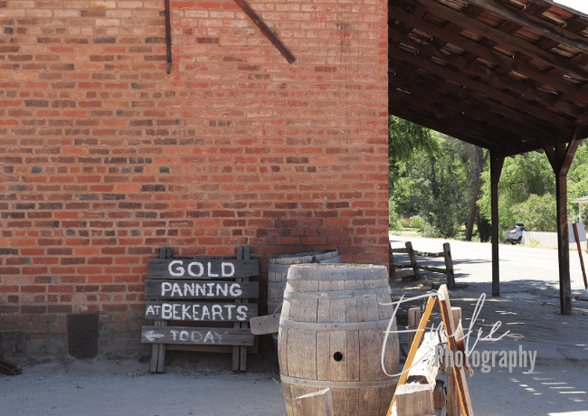 california-gold-rush-gold-panning