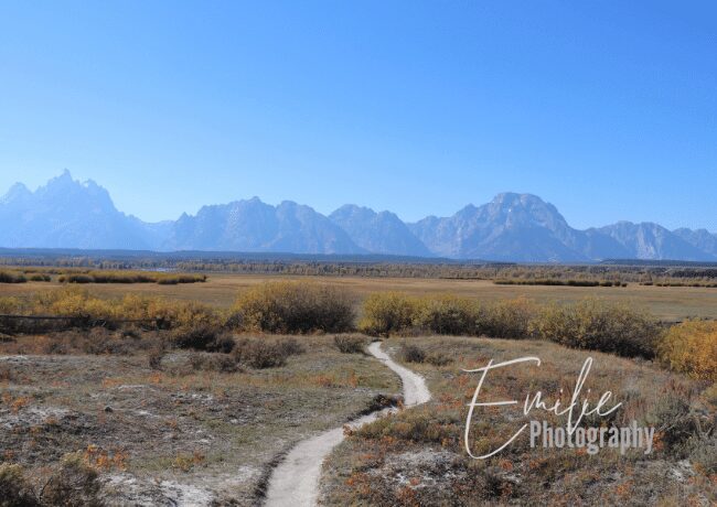 Embark on a transformative journey through Grand Teton's pristine wilderness, where every step becomes a brushstroke in a natural masterpiece.