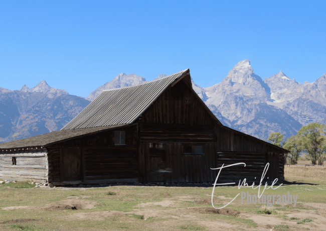 grand-teton-mormon-row (1)