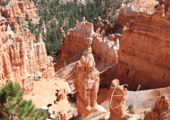 queen-garden-bryce-canyon (1)