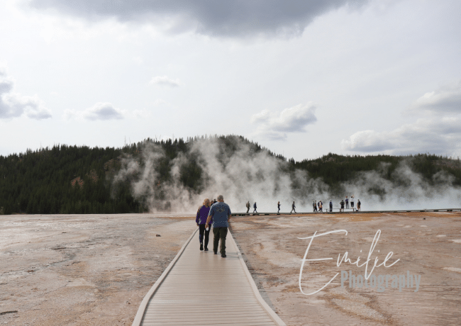 yellowstone-boardwalk