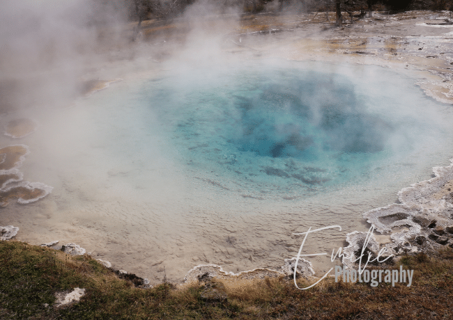 yellowstone-grand-prismatic