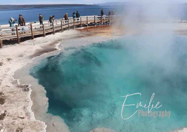 yellowstone-hot-springs (1)