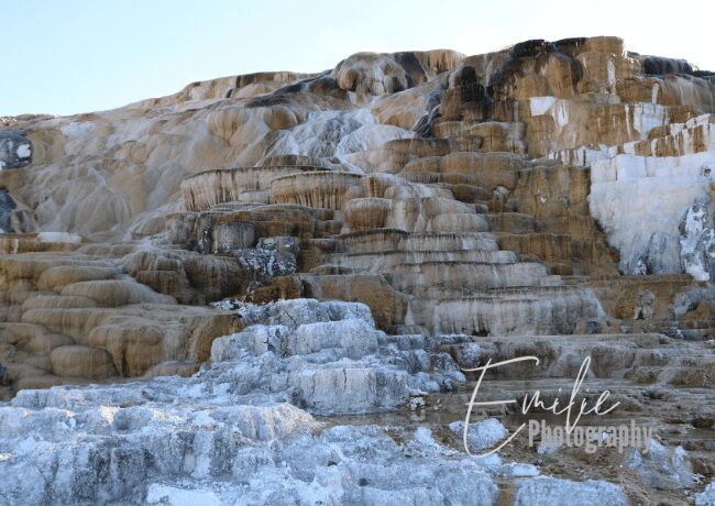 yellowstone-mammoth-hot-springs (1)