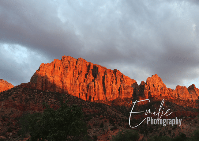 zion-national-park-view