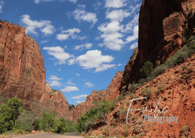 zion-national-park