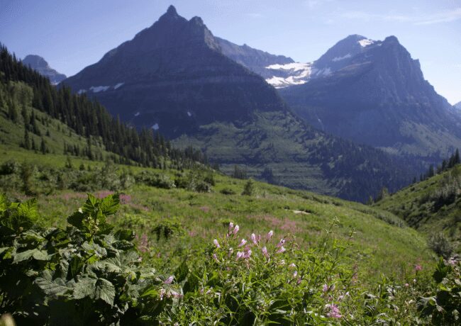 Going to the Sun Road