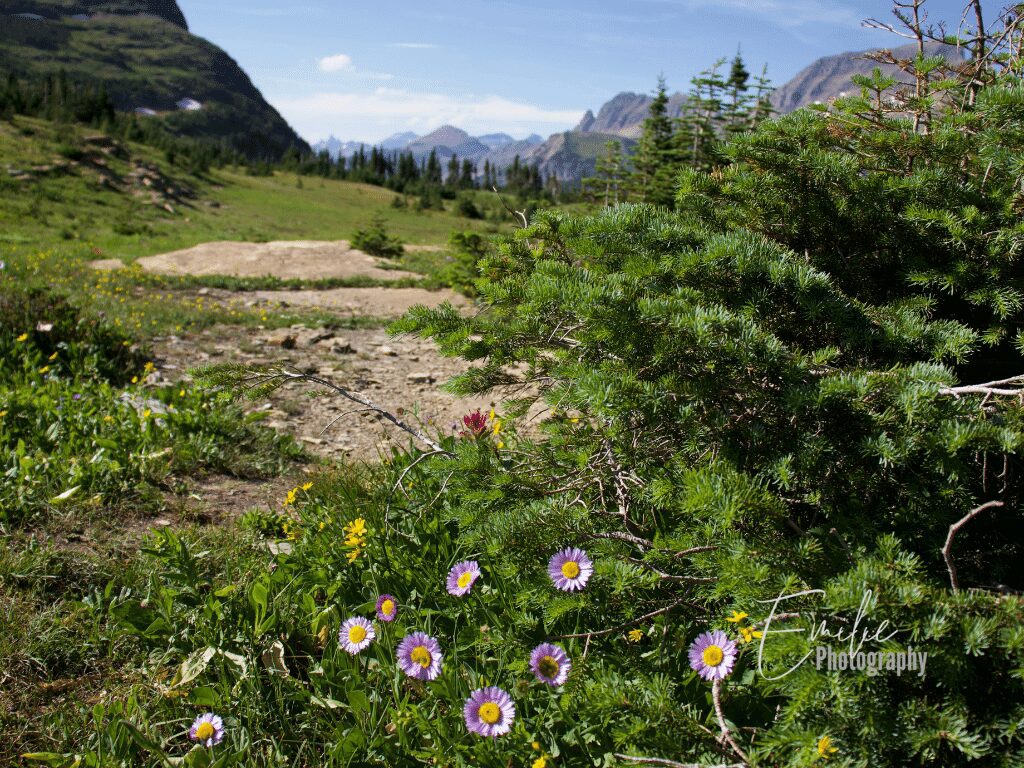 glacier-national-park-with-kids