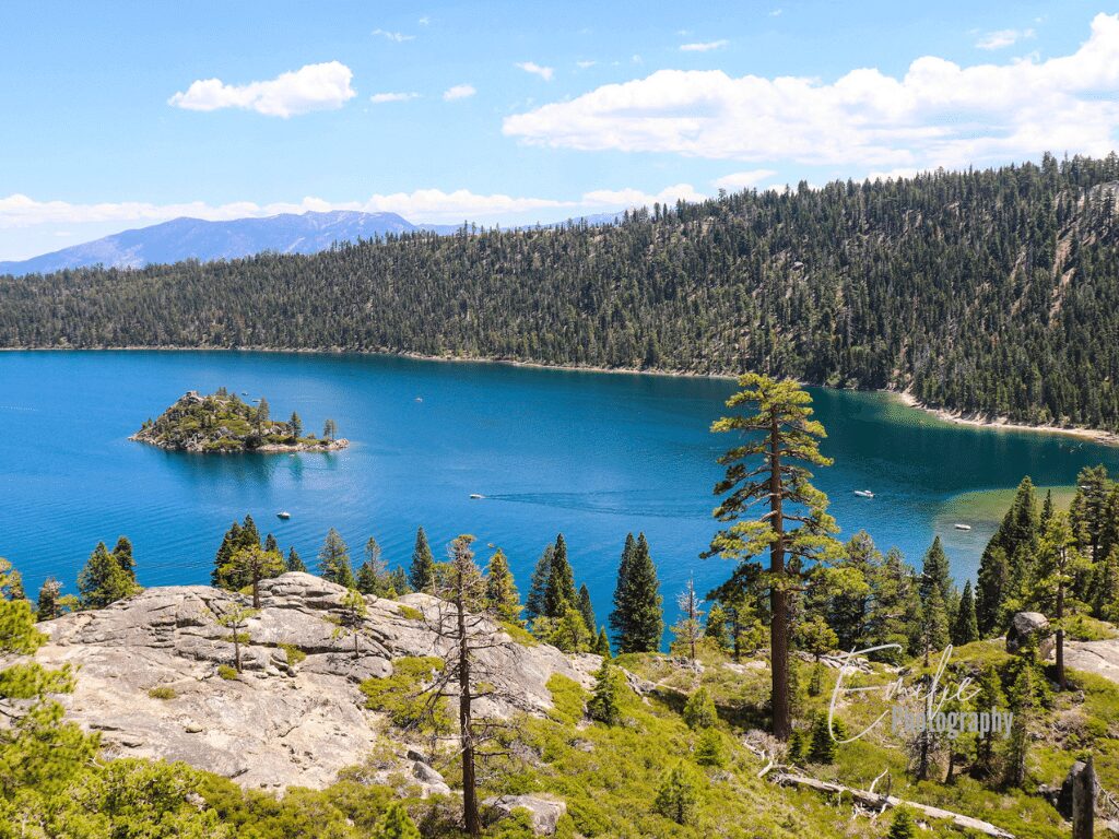 Things To Do In Lake Tahoe With Kids