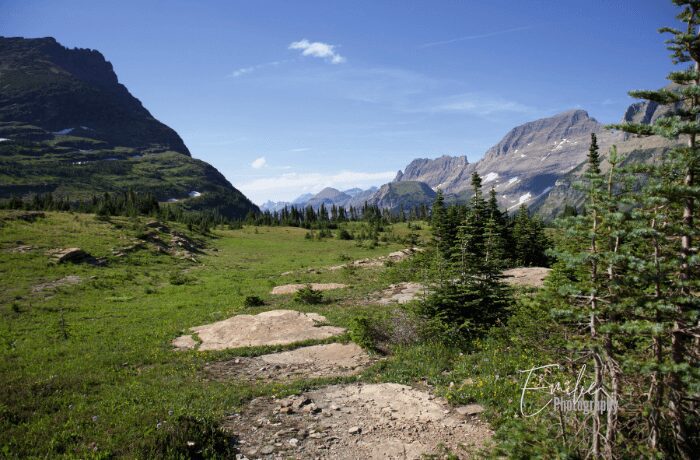 glacier national park montana Logan pass (1