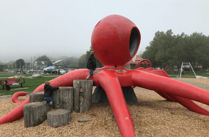 Amidst the cheerful laughter and vibrant energy of Gyro-Cadboro Bay Park playground in Victoria, BC, two young boys are immersed in a world of adventure and play.