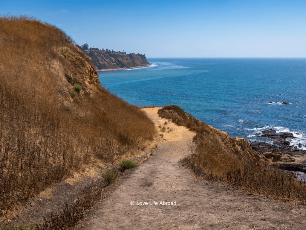 view of the ocean along the Bluff Cove Trail