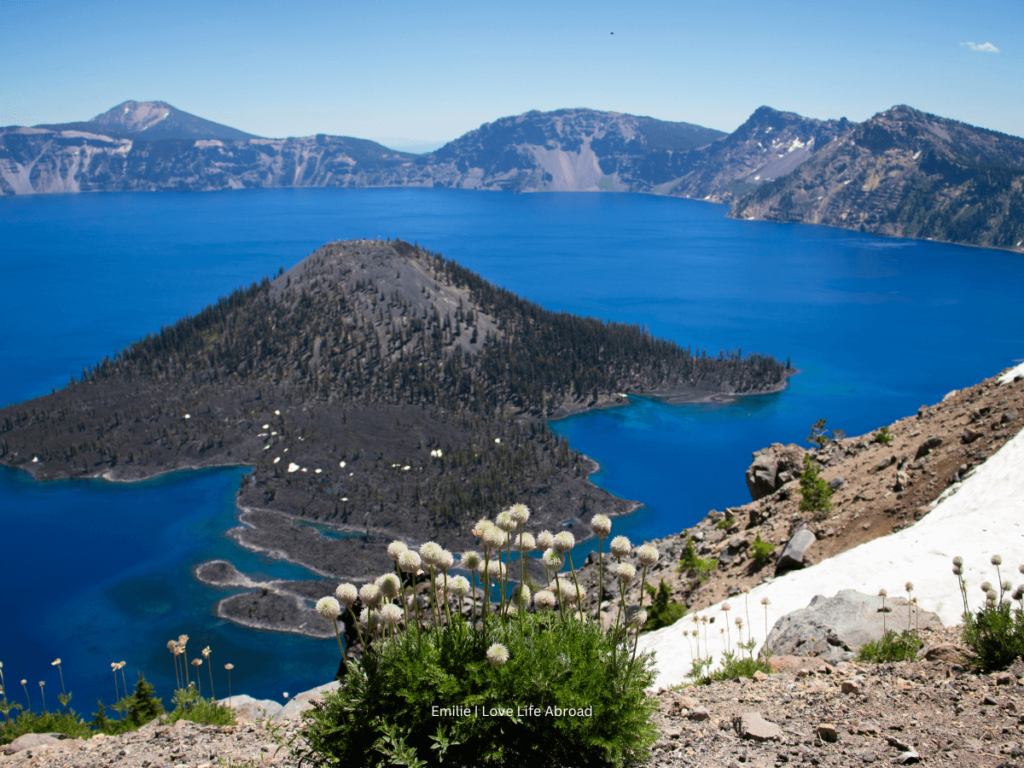 view over Crater Lake in July. We see the blue lake, wildflowers and some snow.