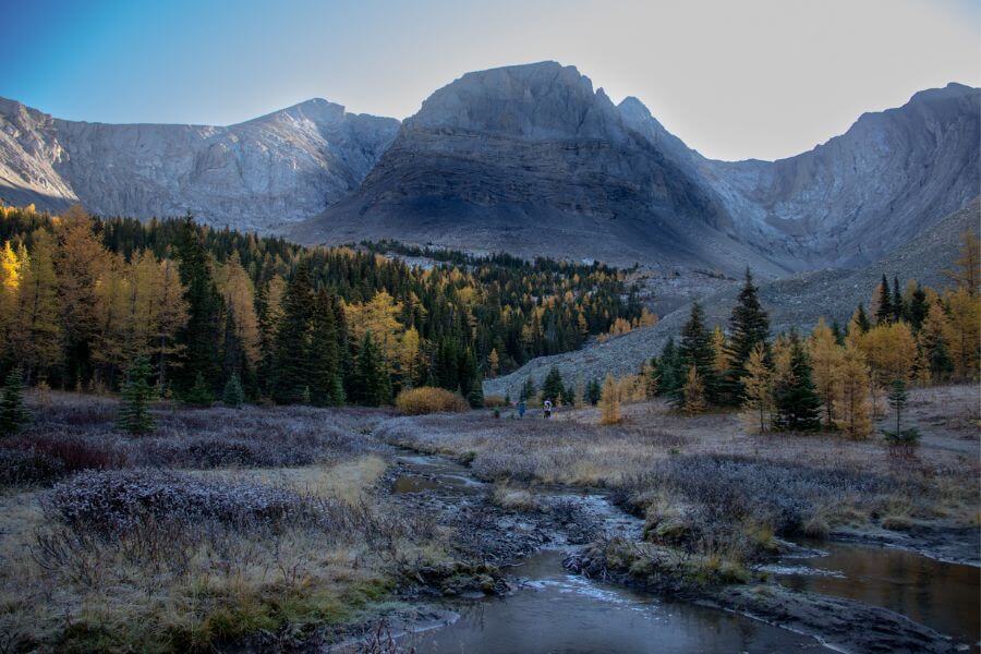 Arethusa Cirque Trail during larch season