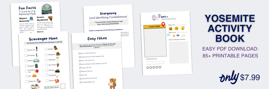 Yosemite Activity Book - inline