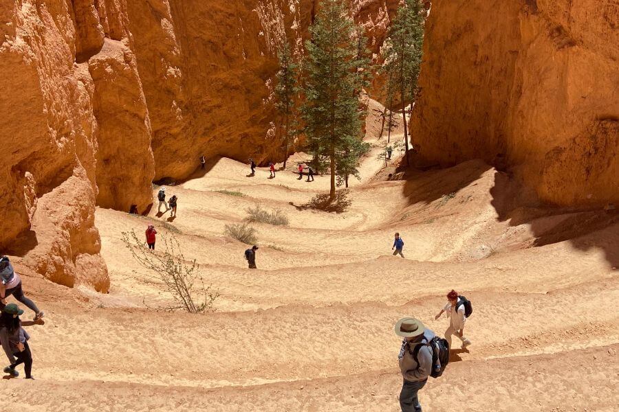 Bryce Canyon National Park Navajo Loop hiking trail