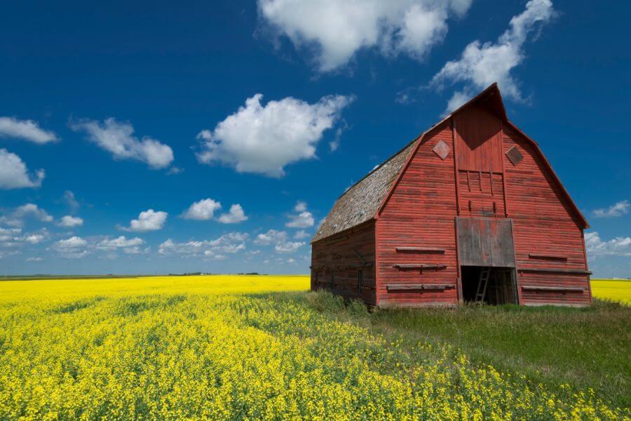 Saskatchewan Prairies