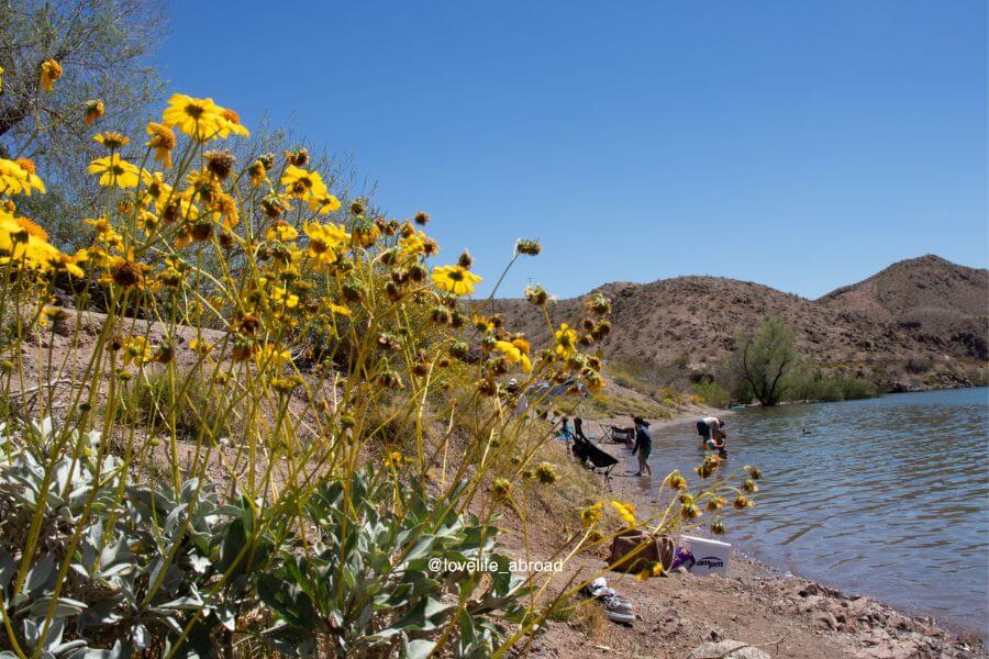 Enjoying the Colorado River at Willow Beach