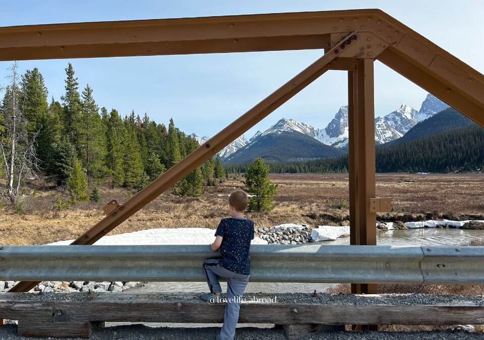 a fun walk near Mount Engadine Lodge