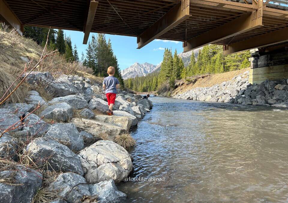 what to do near Mount Engadine Lodge with kids