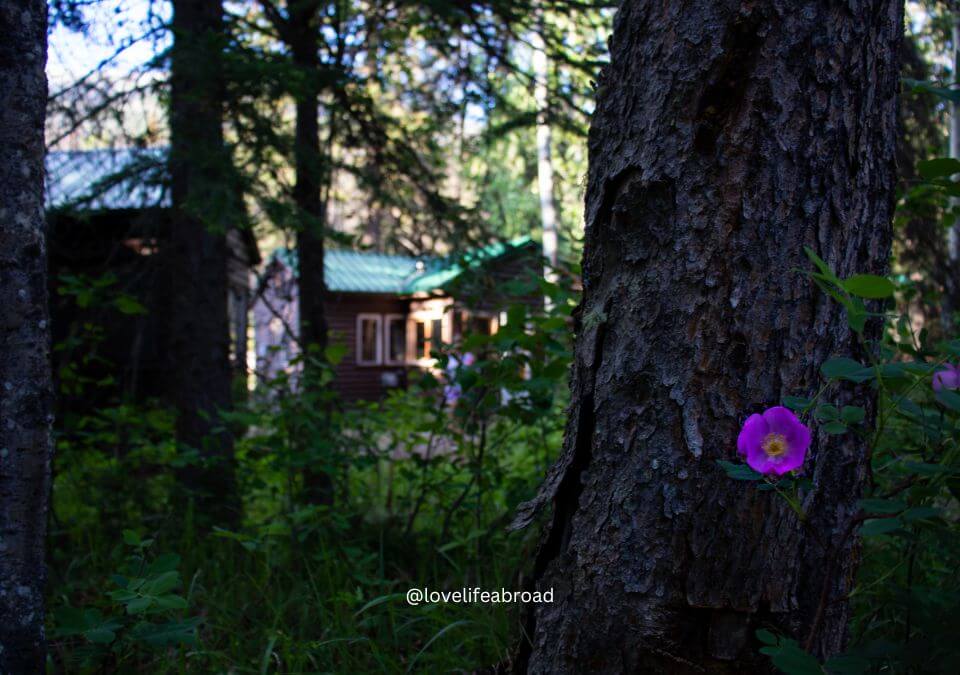 HI Maligne Canyon is a wilderness hostel