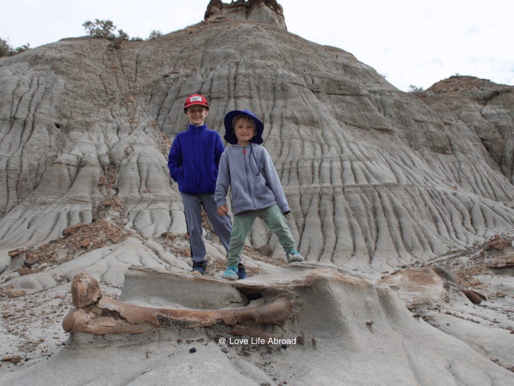 Dinosaur Provincial Park near Brooks AB